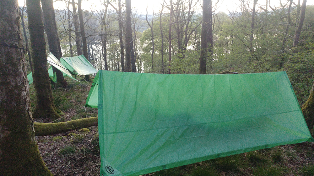 tarp.hammock.jpg