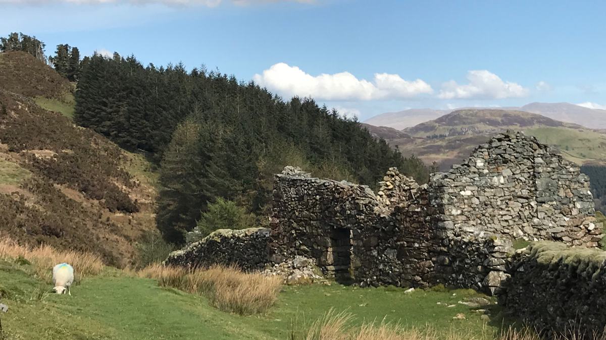 Madog-Accessible-Dolgellau-slide-2