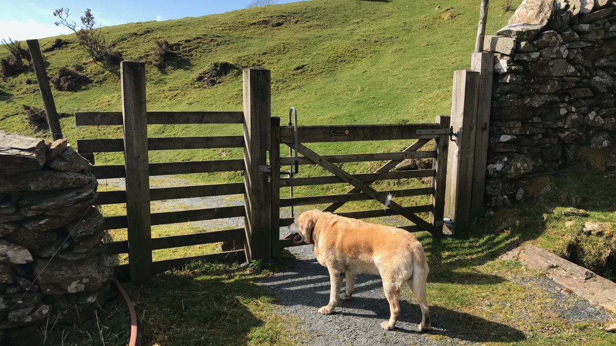 Madog-Accessible-Dolgellau-slide-3
