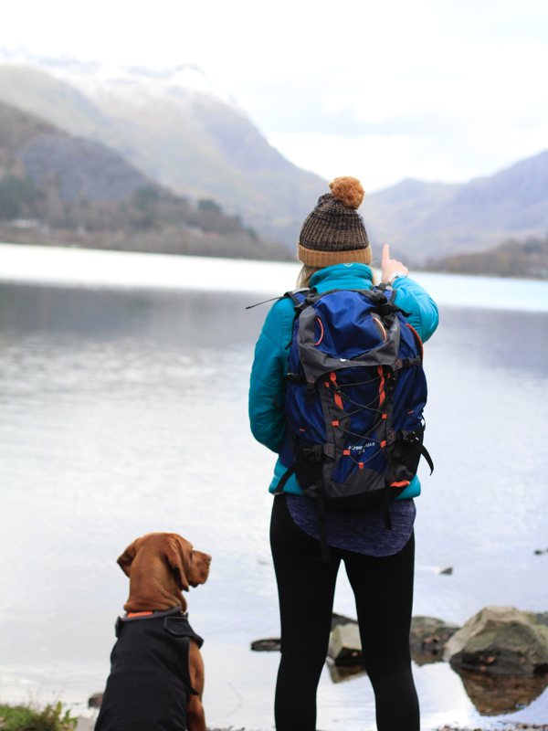 Three-Peak-Pooch-IMAGE-3-wales-4