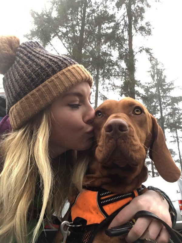 Three-Peak-Pooch-IMAGE-5-wales-8