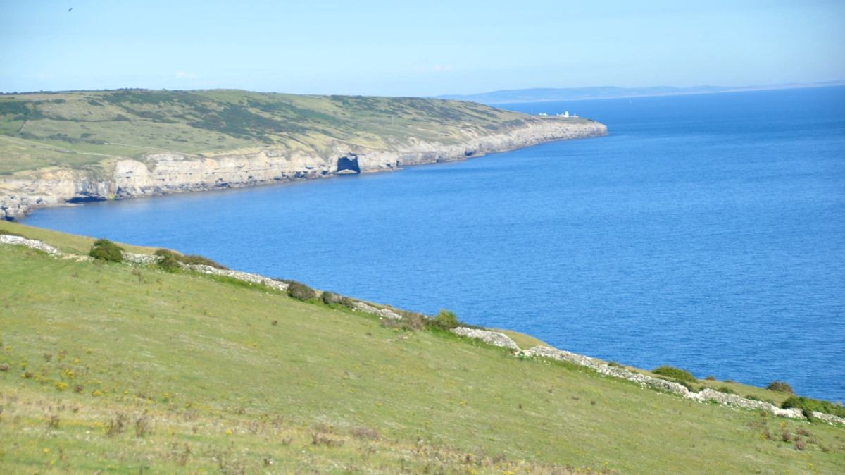 Weston-Dairy-Campsite-slide-3