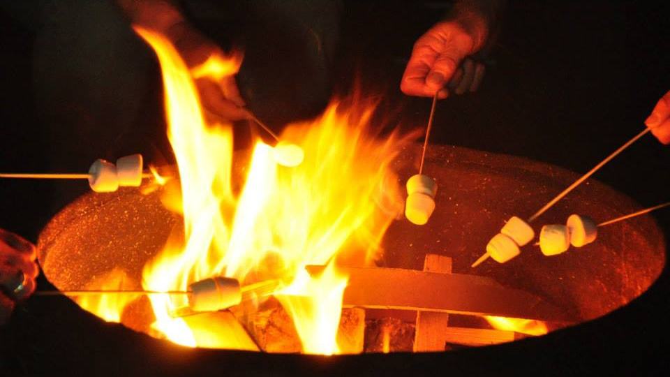 Weston-Dairy-Campsite-slide-5