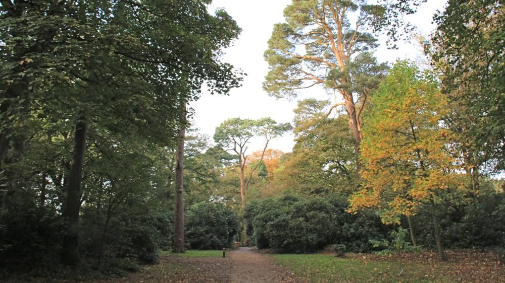 hire-a-wheelchair-sheringham