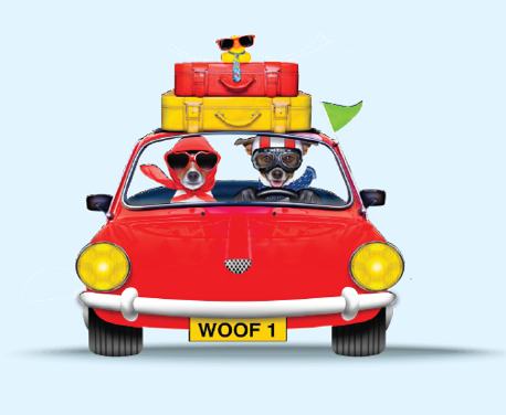 Every summer, thousands of families and their dogs take to the roads of the UK ...