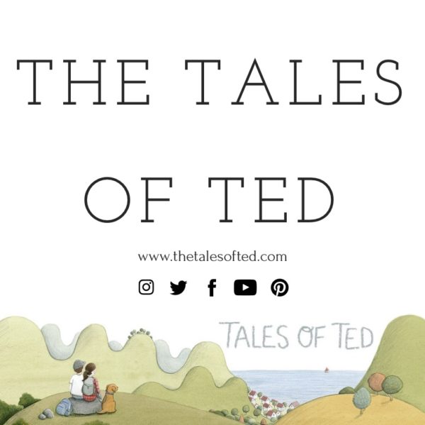 The-Tales-of-Ted