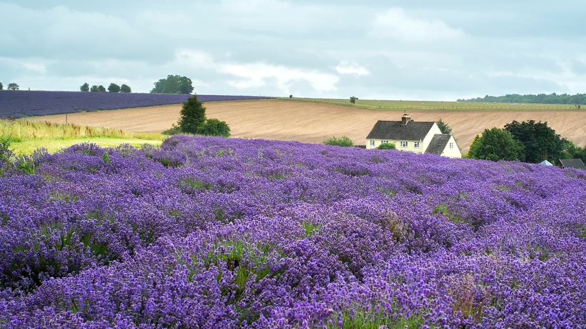 3-HPB-Buckland-Court-Snowshill-slide-1