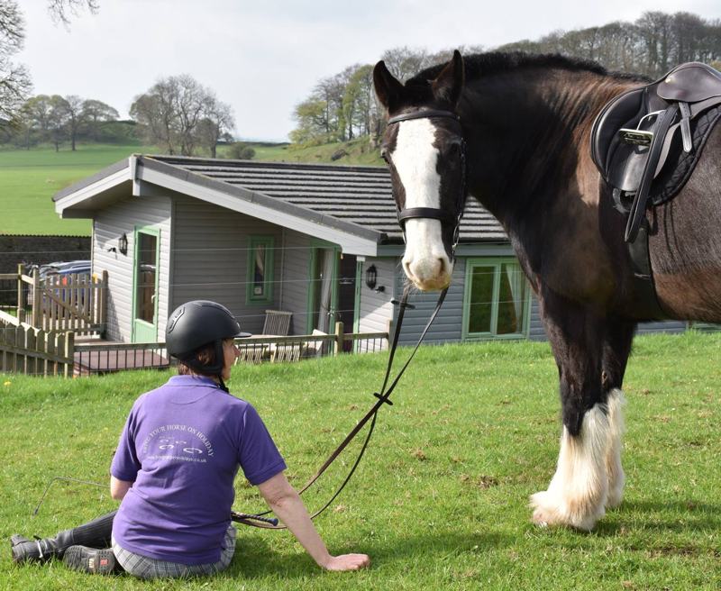 Bring your own horse on holiday to Hoe Grange and take time to explore the Peak district countryside on horseback. After a long day’s ride relax in the hot tub under the stars while your horse kicks up his heels in the grazing paddocks. 

Spacious stabling for up to 6 horses, year-round grazing, secure tack room and ample parking for horseboxes. Suggested route maps available.