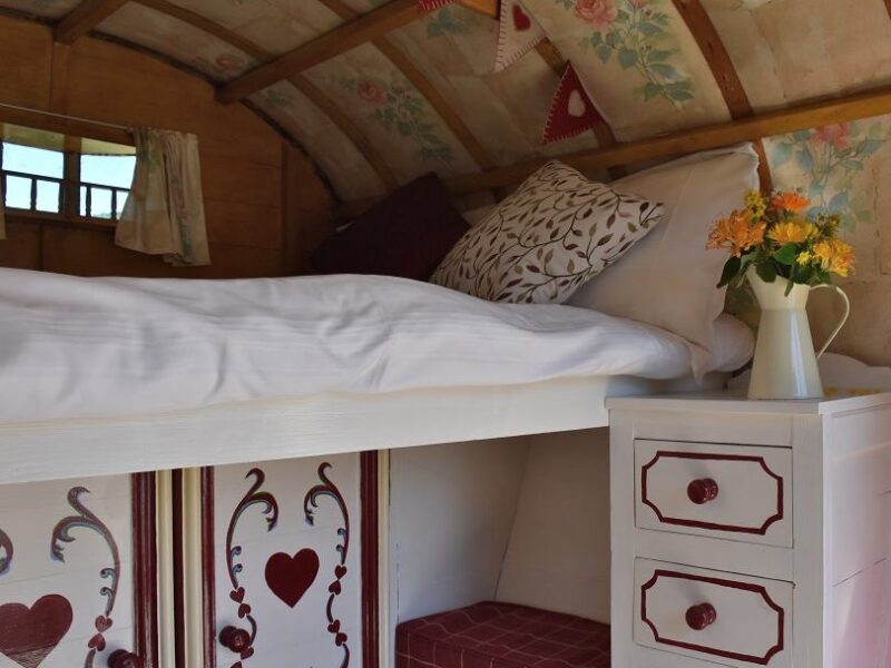 Rose Hip Gypsy Caravan