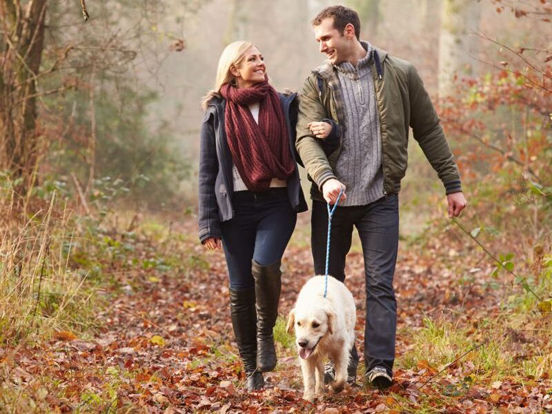 Izaak Walton Hotel - Dog Friendly