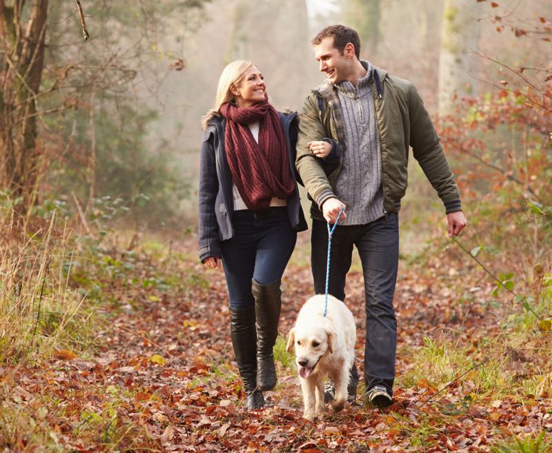 The Izaak Walton Hotel welcomes guests with well-behaved dogs in the Courtyard bedrooms ONLY and the rear of the Dovedale Bar (first door on the right as you enter from the courtyard).
The Courtyard rooms are particularly good for pet owners as these rooms have individual car parking next to the rooms and direct access outside. We do ask for a dog disclaimer form to be completed at the time of check in.
Please note if you wish to bring your dog, this MUST be specified at the time of booking. Failure to do so may mean a dog friendly room is not available upon your arrival!