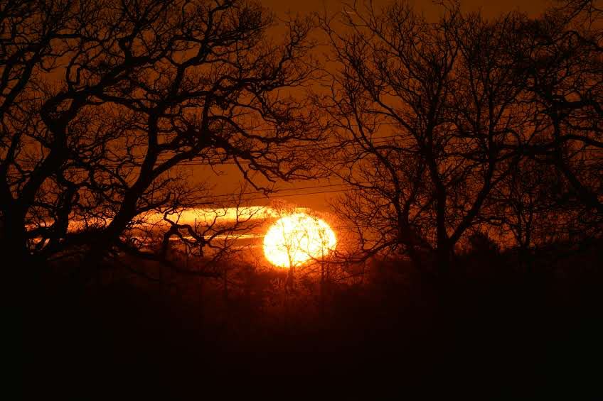 Nature-is-a-healer-1060