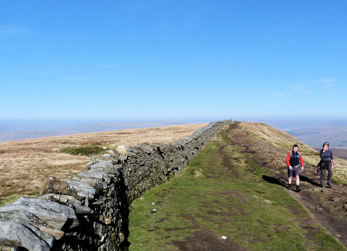 leaving-the-paths-Whernside summit ridge looking north