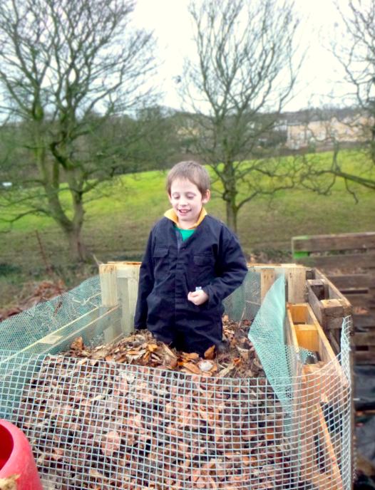 why-walk-trees-photo-5