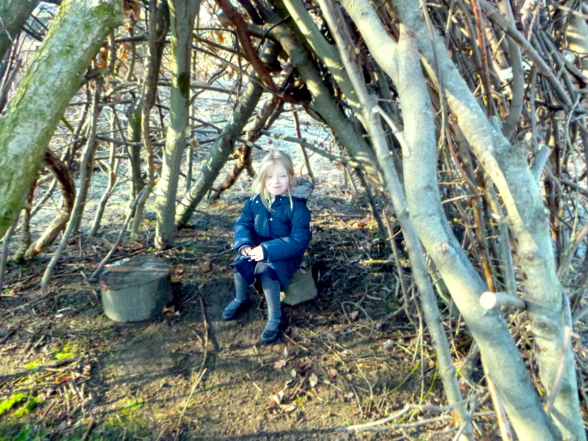 why-walk-trees-photo-6