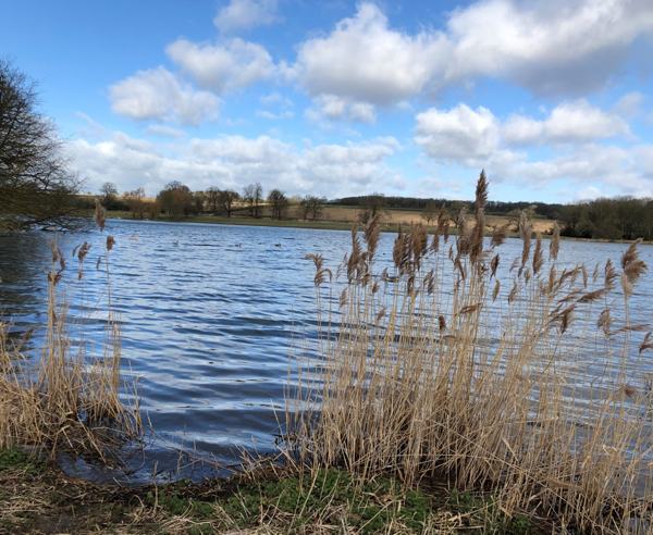 My spirits lift as I open the door and step  outside. This is no coincidence, nor just a reflection of the chaotic house that I am leaving behind ...