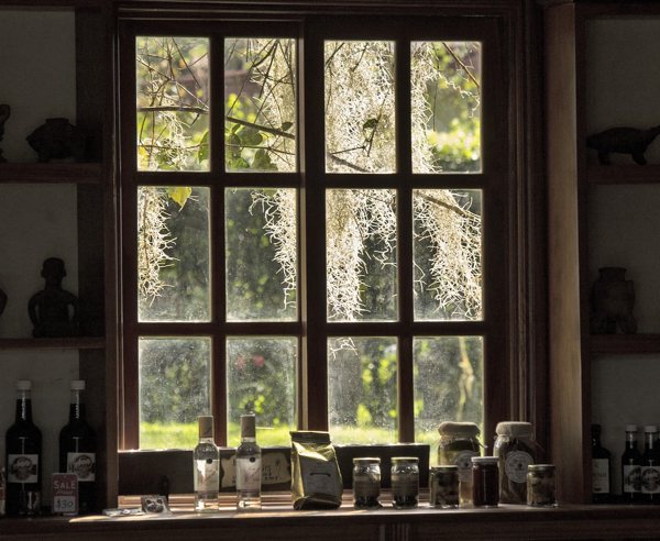 Stroll through the gardens of some of the UK’s most scenic manor houses and explore the regal history of their fascinating past owners! They all have lovely cafes and shops. Many serving local produce and handmade gifts.