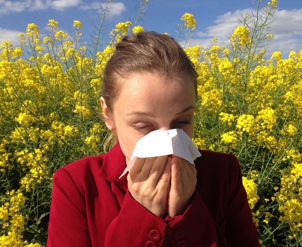Hay fever is an allergy to pollen in the air, causing rhinitis (sneezing, runny nose), itching eyes ...
