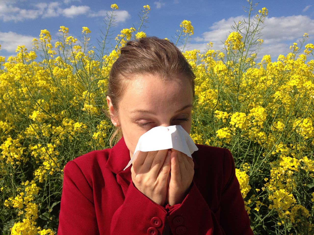 hayfever-image-2