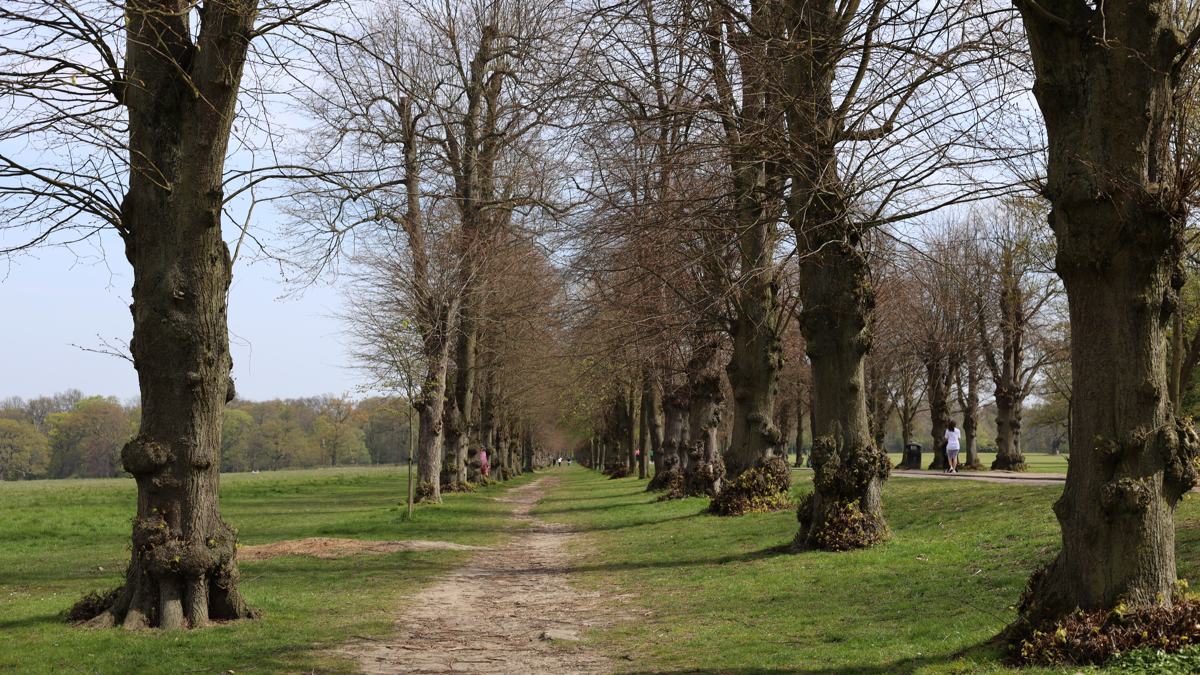 trentpark-slide-3 Trent Park