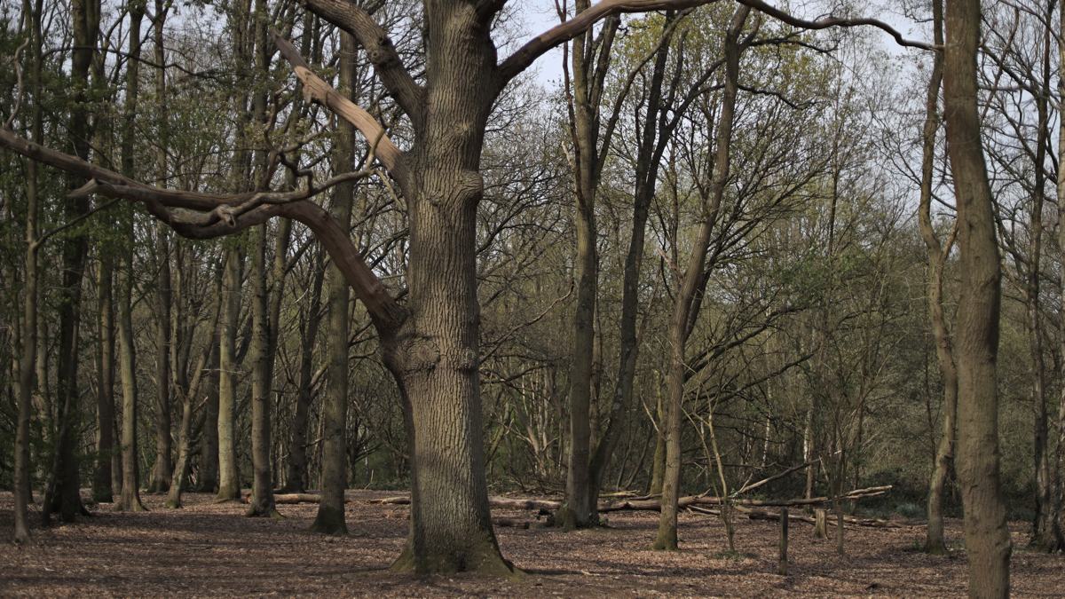 trentpark-slide-7 Trent Park