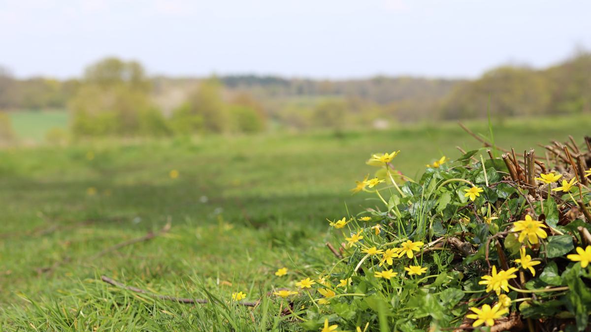 trentpark-slide-9 Trent Park