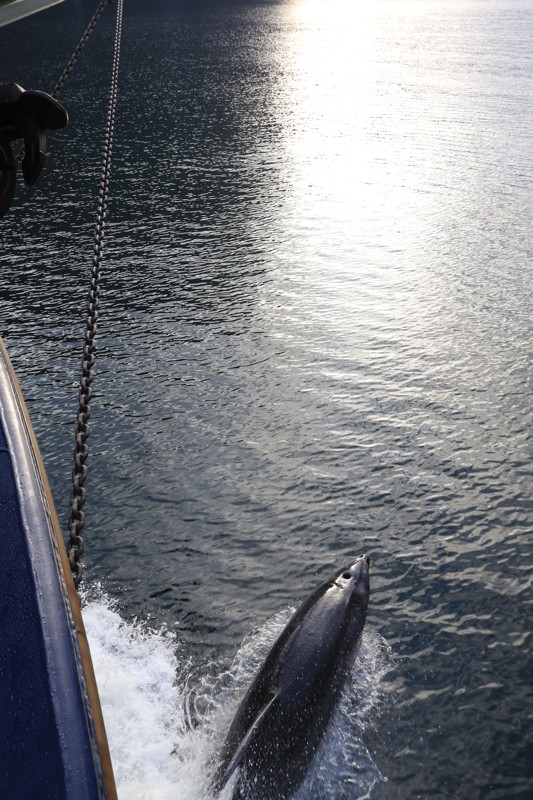 Canon EOS R-new-zealand-1 New Zealand