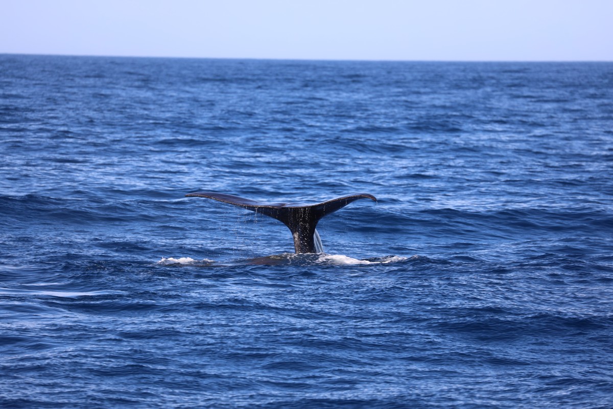 Canon EOS R-new-zealand-2 New Zealand