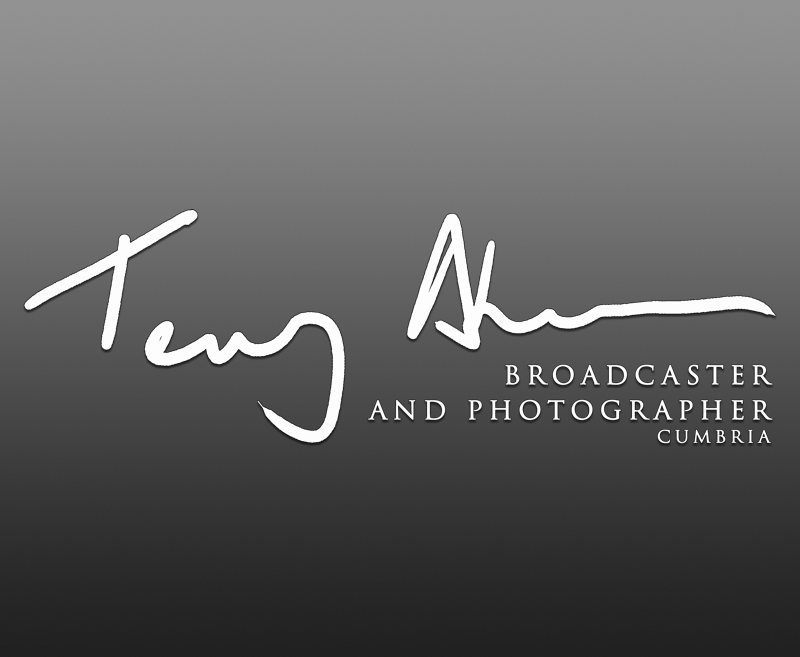 Terry Abraham-logo Terry Abraham