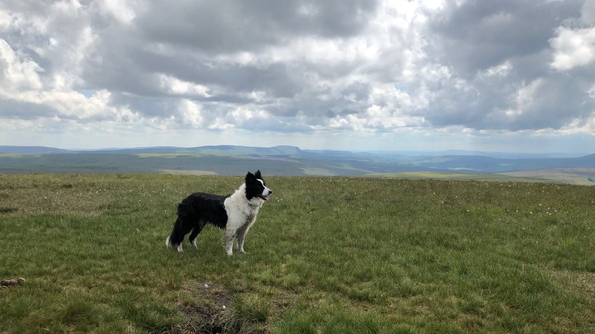 Knoutberry-Hill-slide-7 Great Knoutberry Hill