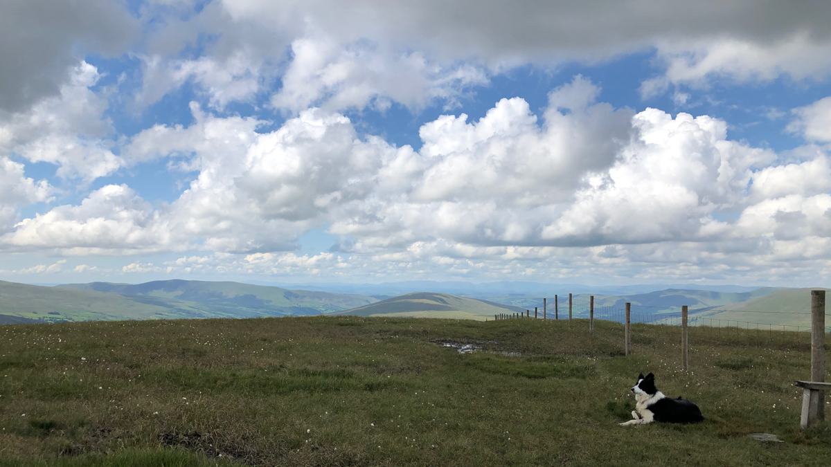 Knoutberry-Hill-slide-9 Great Knoutberry Hill