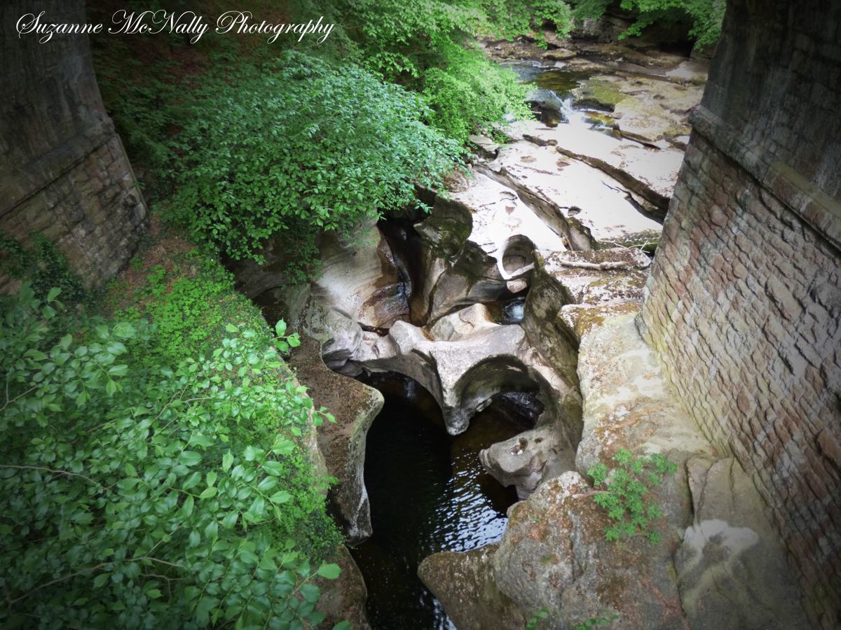 Suzanne McNally-pic-1 Suzanne McNally