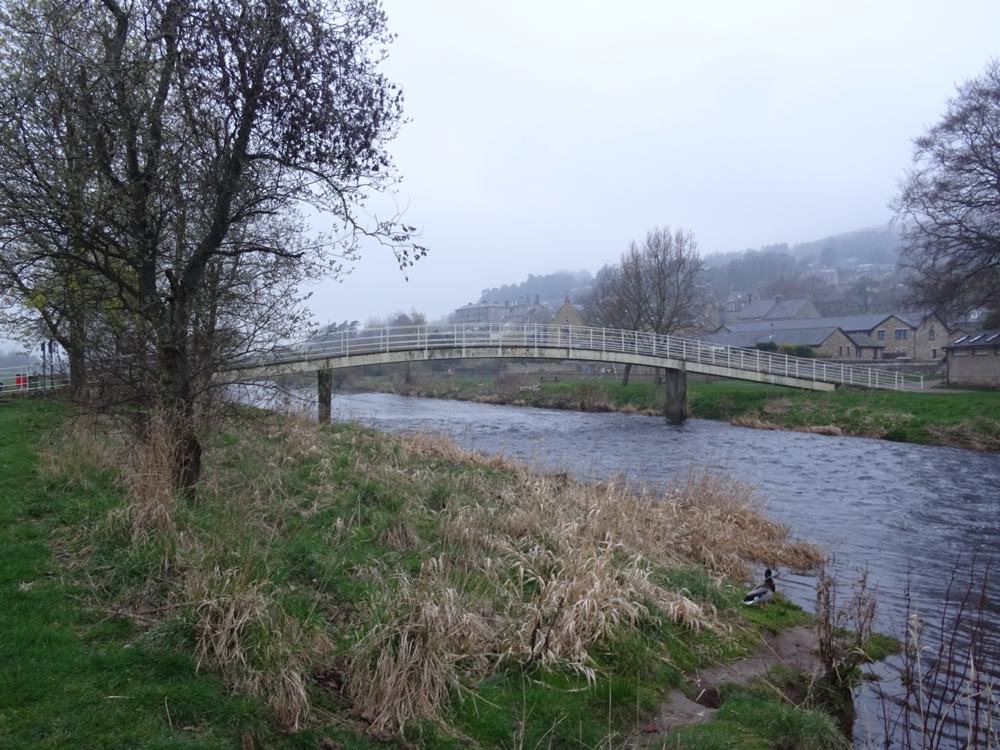 Rothbury River Walk Rothbury