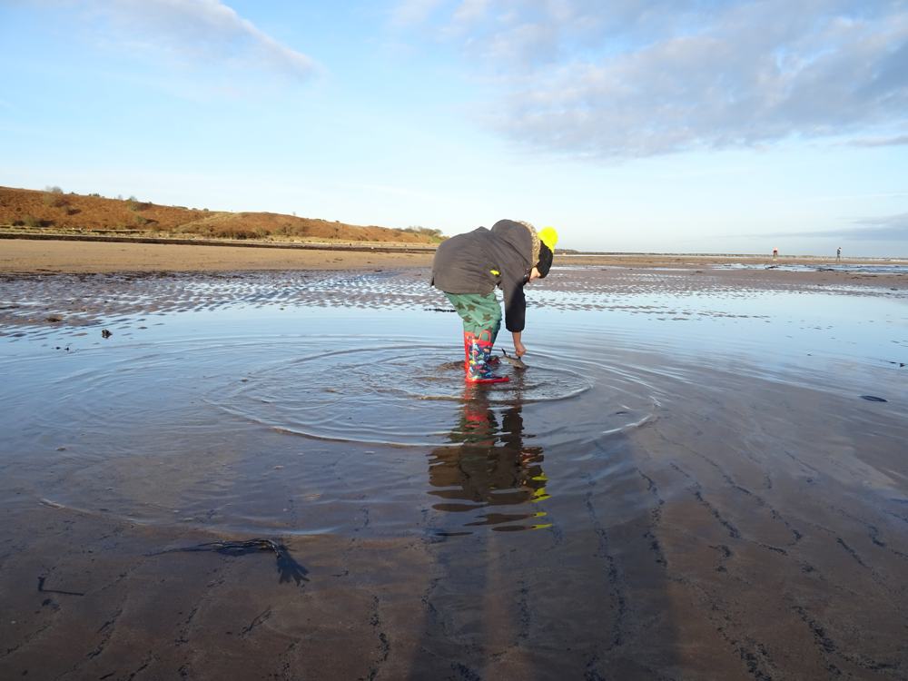 Alnmouth Beach Alnmouth Beach