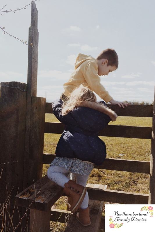 Northumberland family diaries Northumberland family diaries