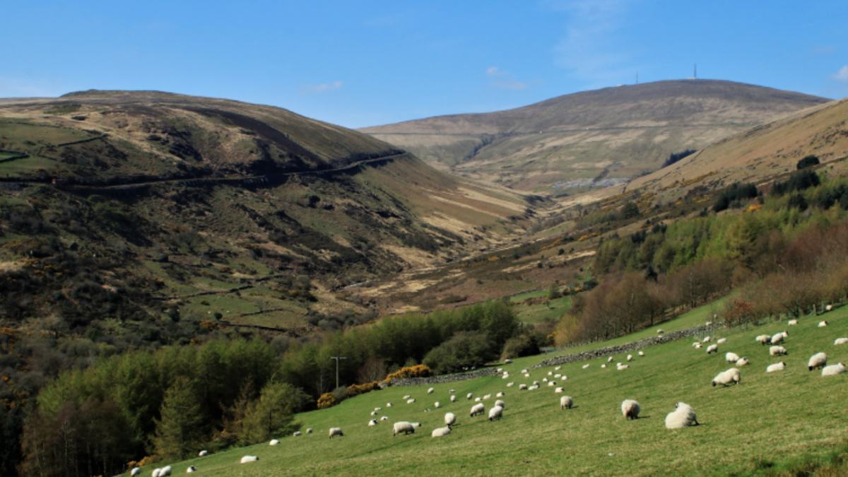 Laxey Wheel, Isle of Man