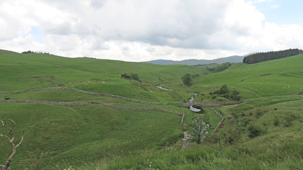 Smardale Packhorse Bridge Smardale Packhorse Bridge