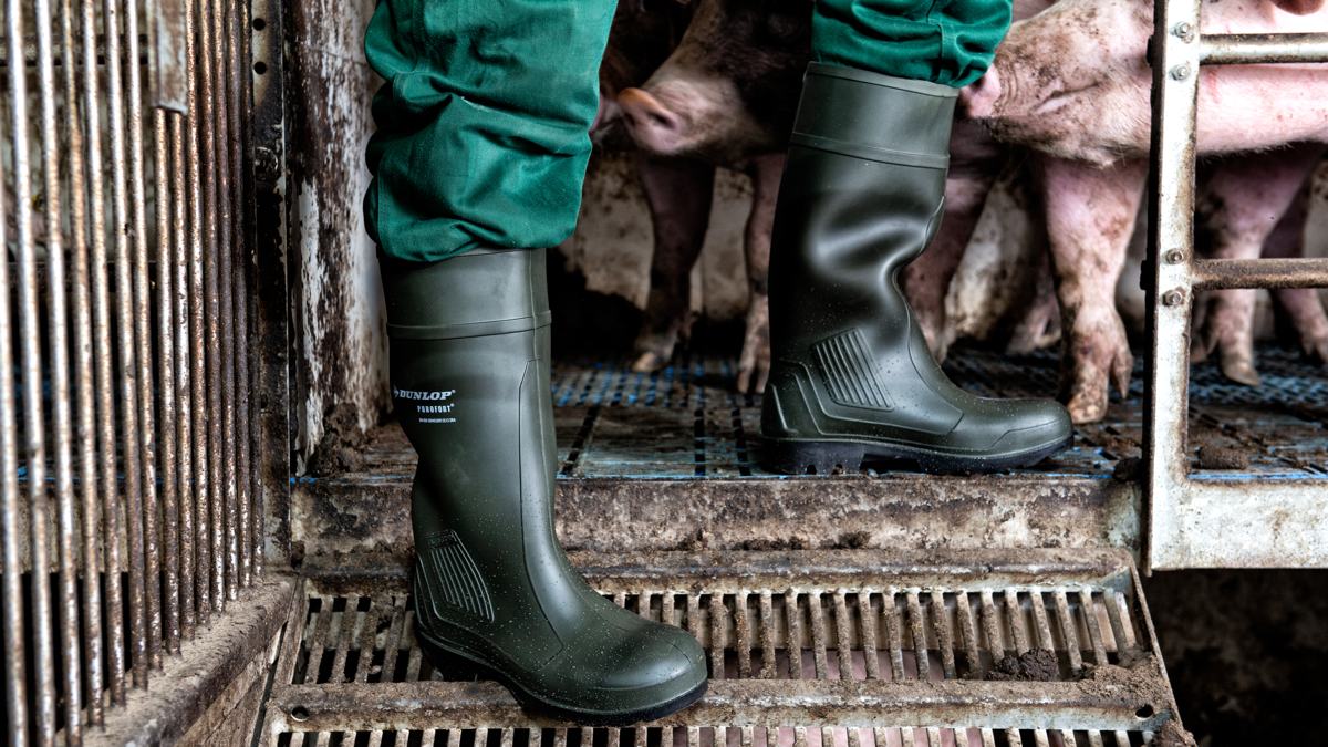 Dunlop Protective Footwear