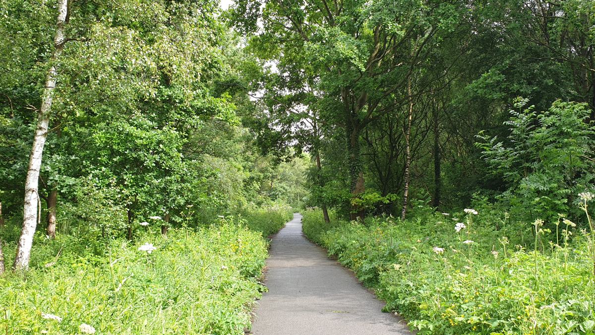 Leeds Liverpool Canal