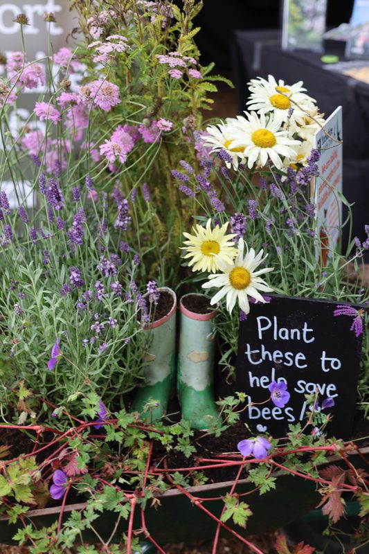 countryfile-2019-save-our-bees Save Our Bees!