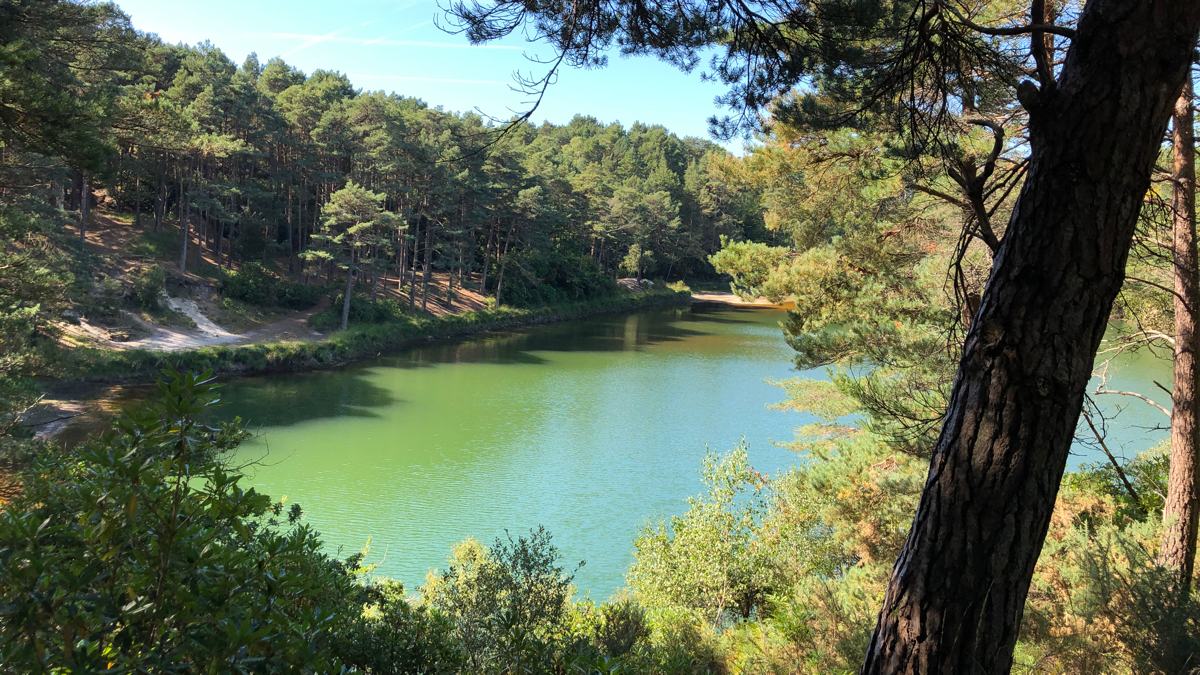 Blue-Pool-slide-1 Woodland Walk Around Blue Pool