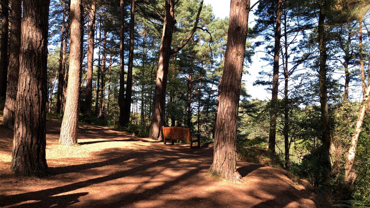 Blue-Pool-slide-4 Woodland Walk Around Blue Pool