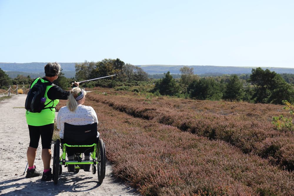 Nordic-experience-Dorset-arne Nordic Walking experience in Dorset