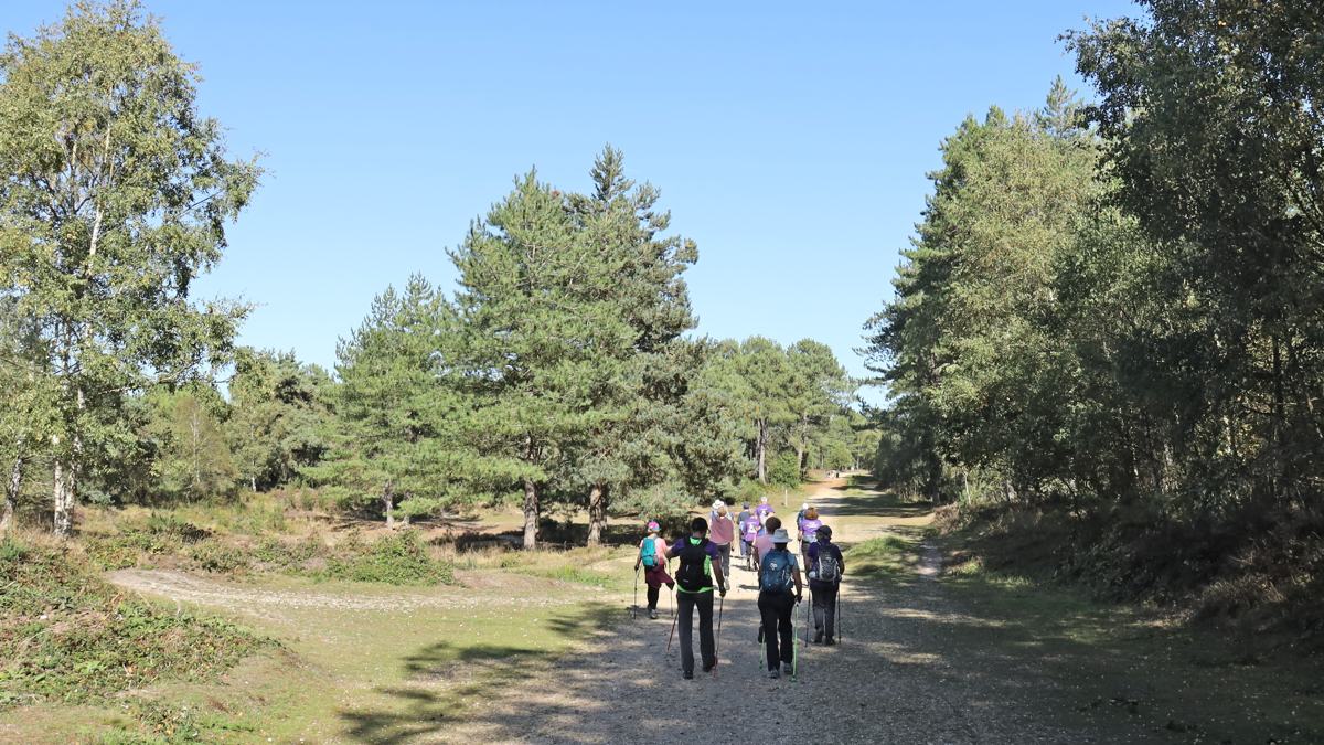 Wareham-Forest-slide-2 Wareham Forest