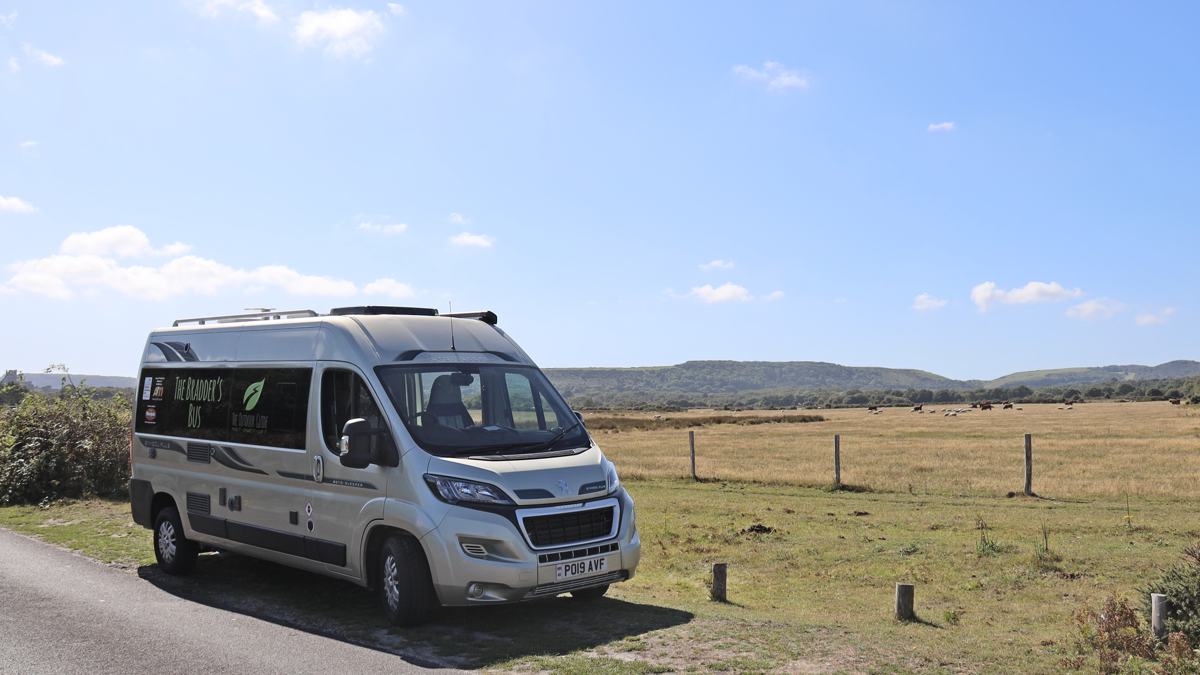Wareham-Forest-slide-6 Wareham Forest