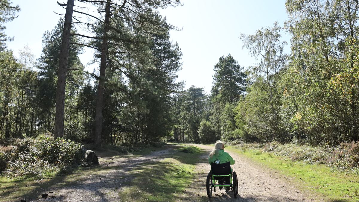 Wareham-Forest-slide-7 Wareham Forest