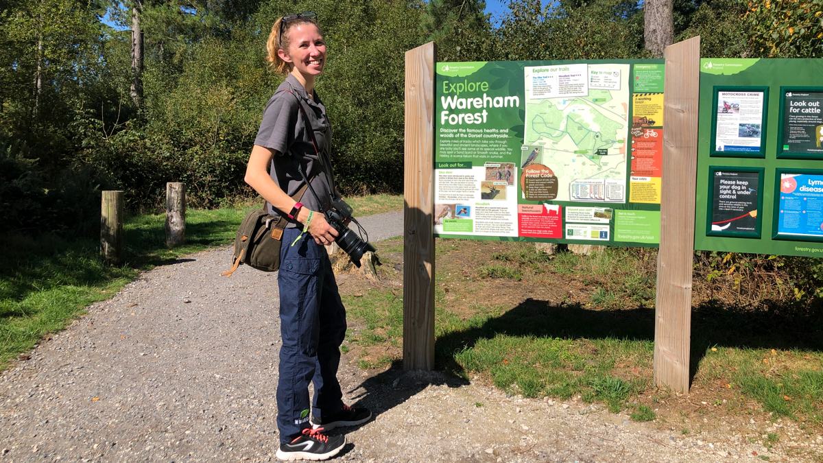 Wareham-Forest-slide-8 Wareham Forest