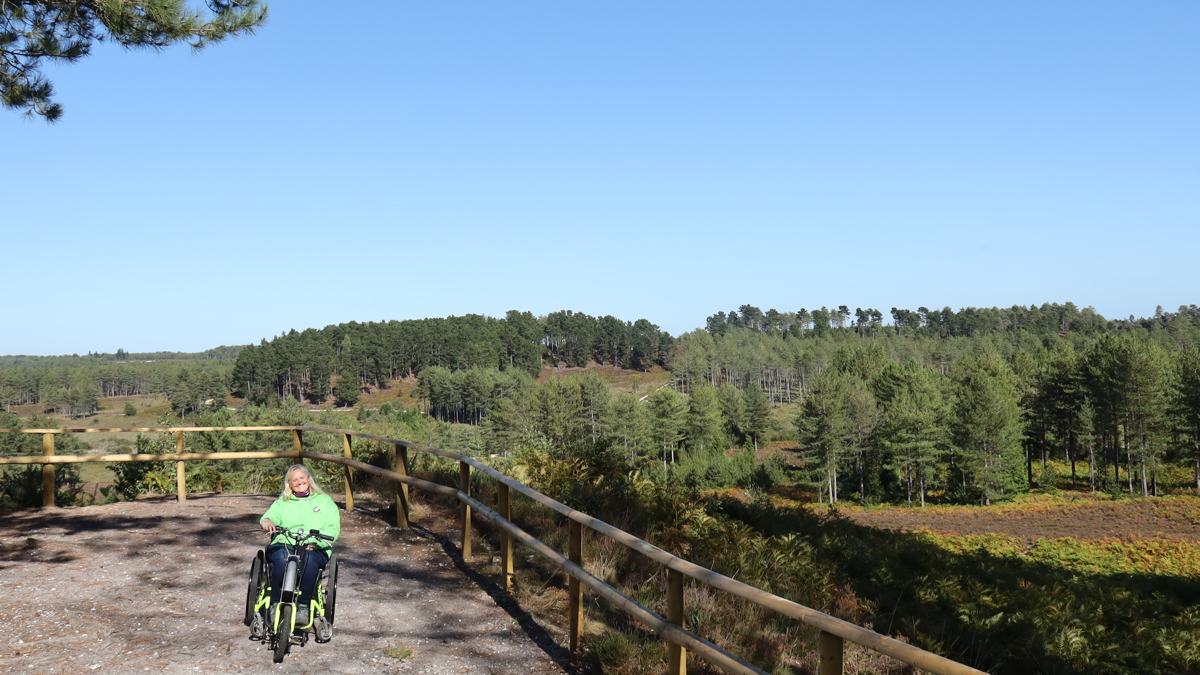 Wareham-Forest-slide-9