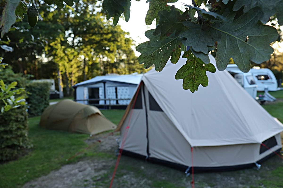 camping-corfe-castle-slide-3 Camping at Corfe Castle