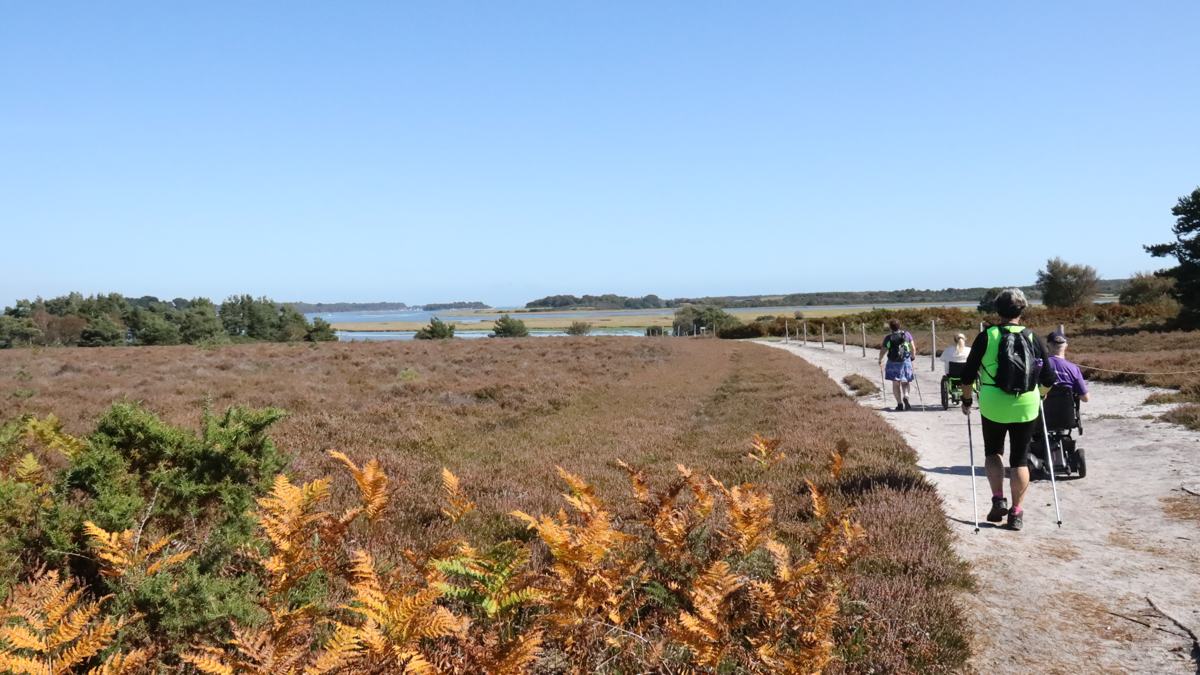 RSPB Arne